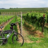 2305F 102 Marburg-Trier